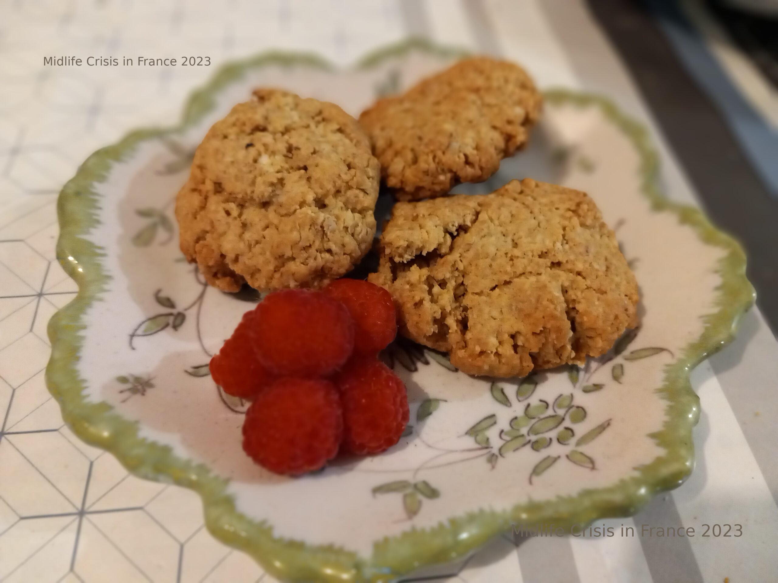 Virgin Vegetarian: Peanut Butter and Oat Cookies